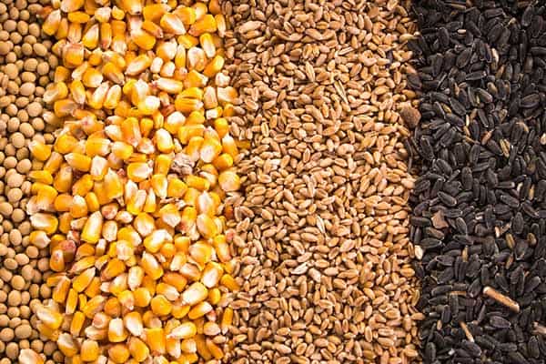 Levante Ideias - Comodities agropecuário