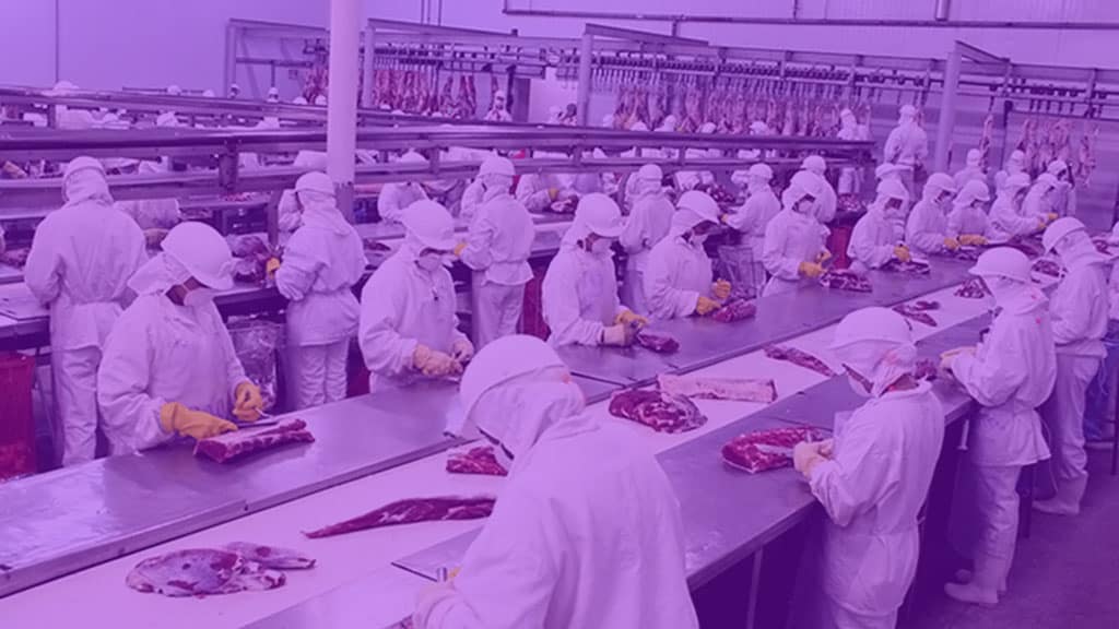 Levante Ideias - Frigorico Filtro