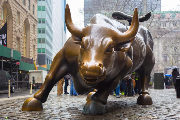 Bull Market EECI