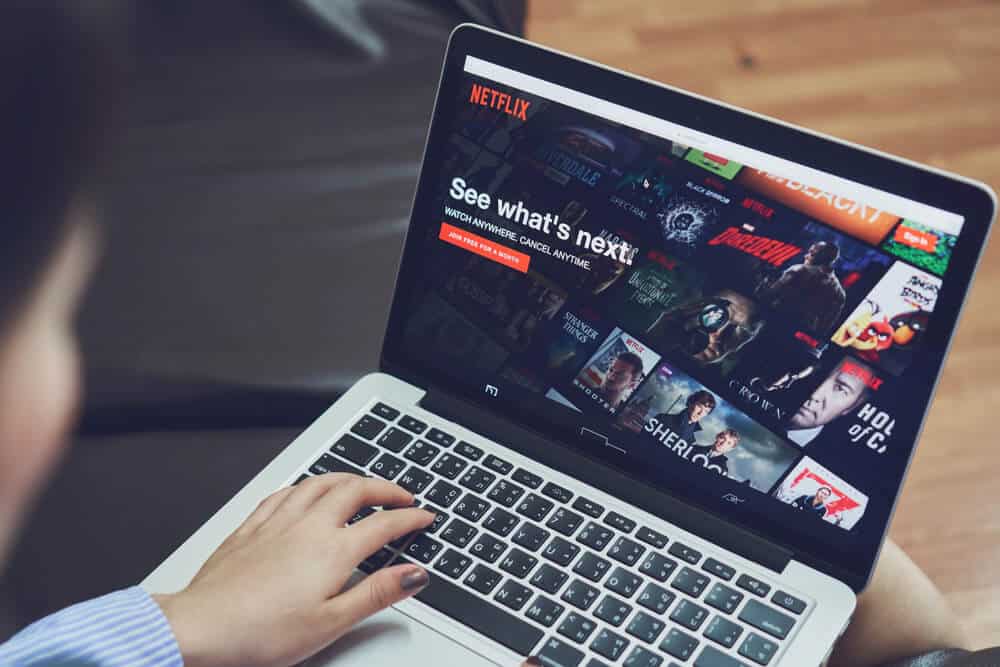 Netflix - Levante Investimentos