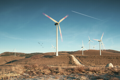 Levante Ideias - Parque Eólico